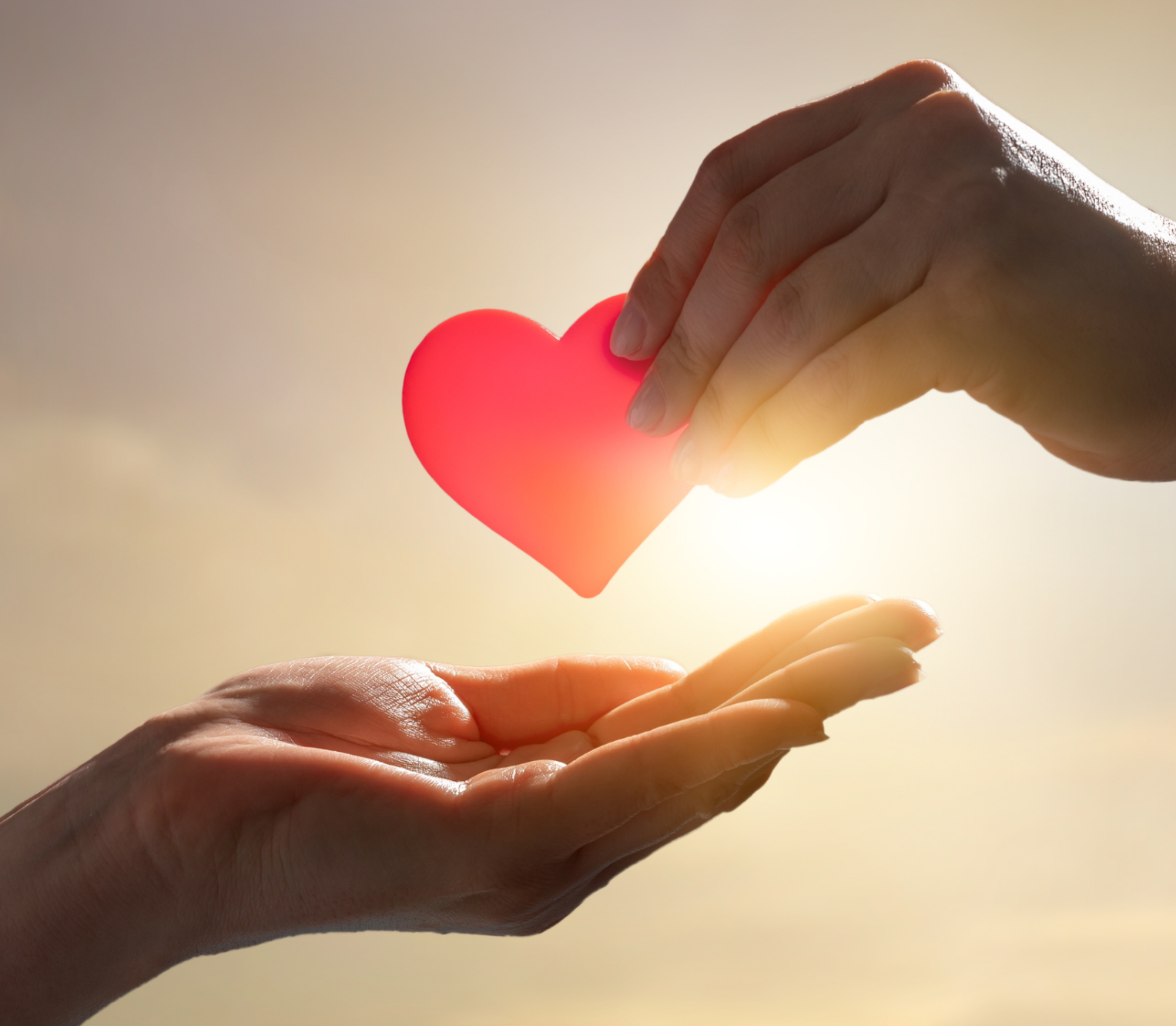 A paper heart being held